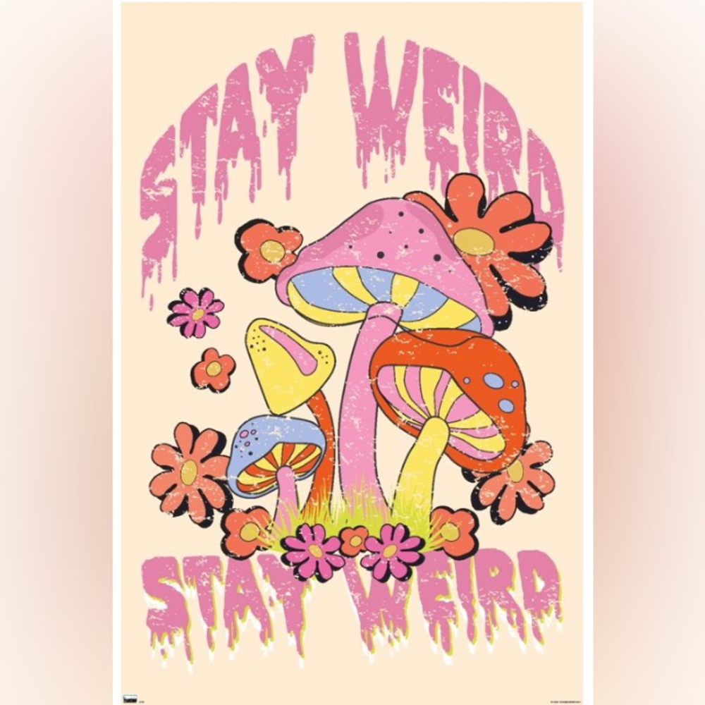 Stay Weird Mushroom Poster
